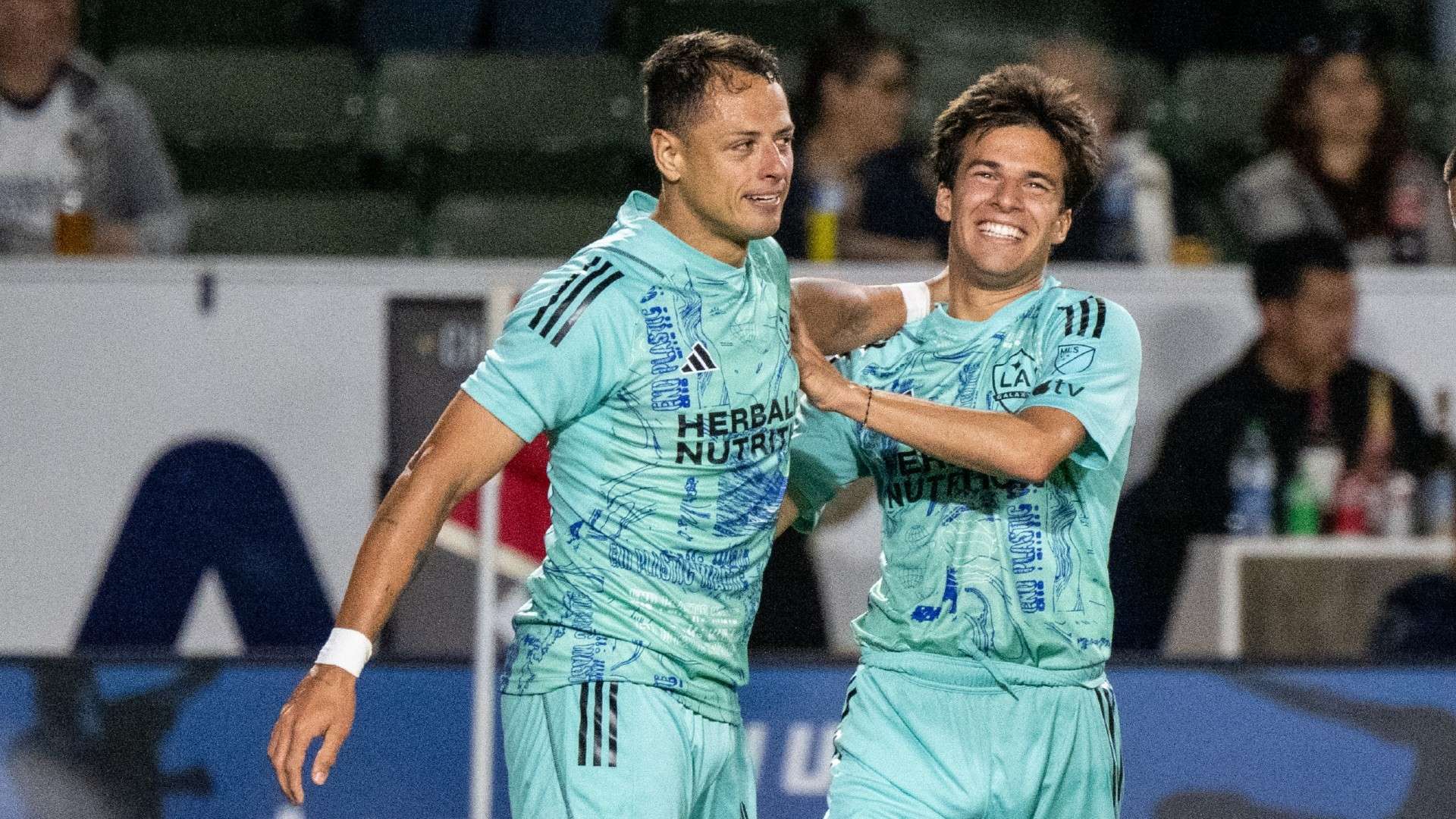 卡薩迪和弗 卡薩迪和弗