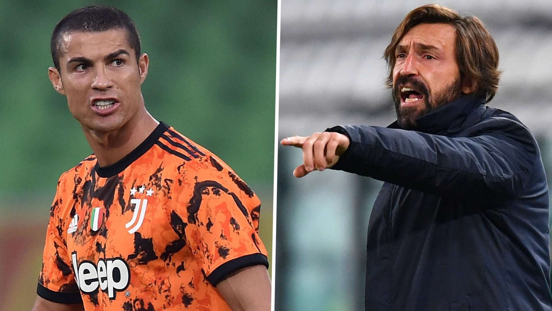 也为其他家 也为其他家